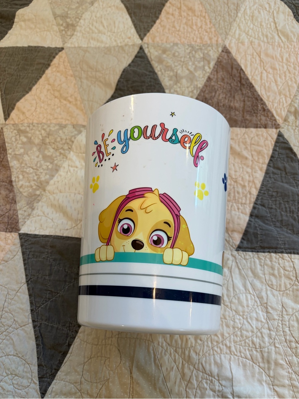 Paw patrol garbage can